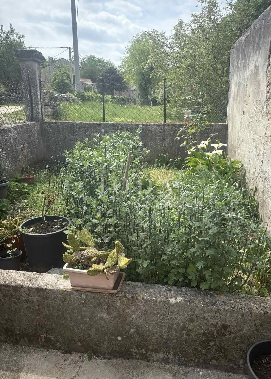 labin, okolica, kuća za adaptaciju u manjem, mirnom selu - slika 5