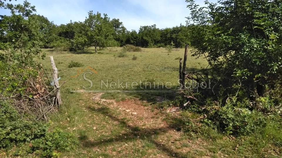 višnjan, zoričići - zemljište, 62710 m2 prodaja - slika 11