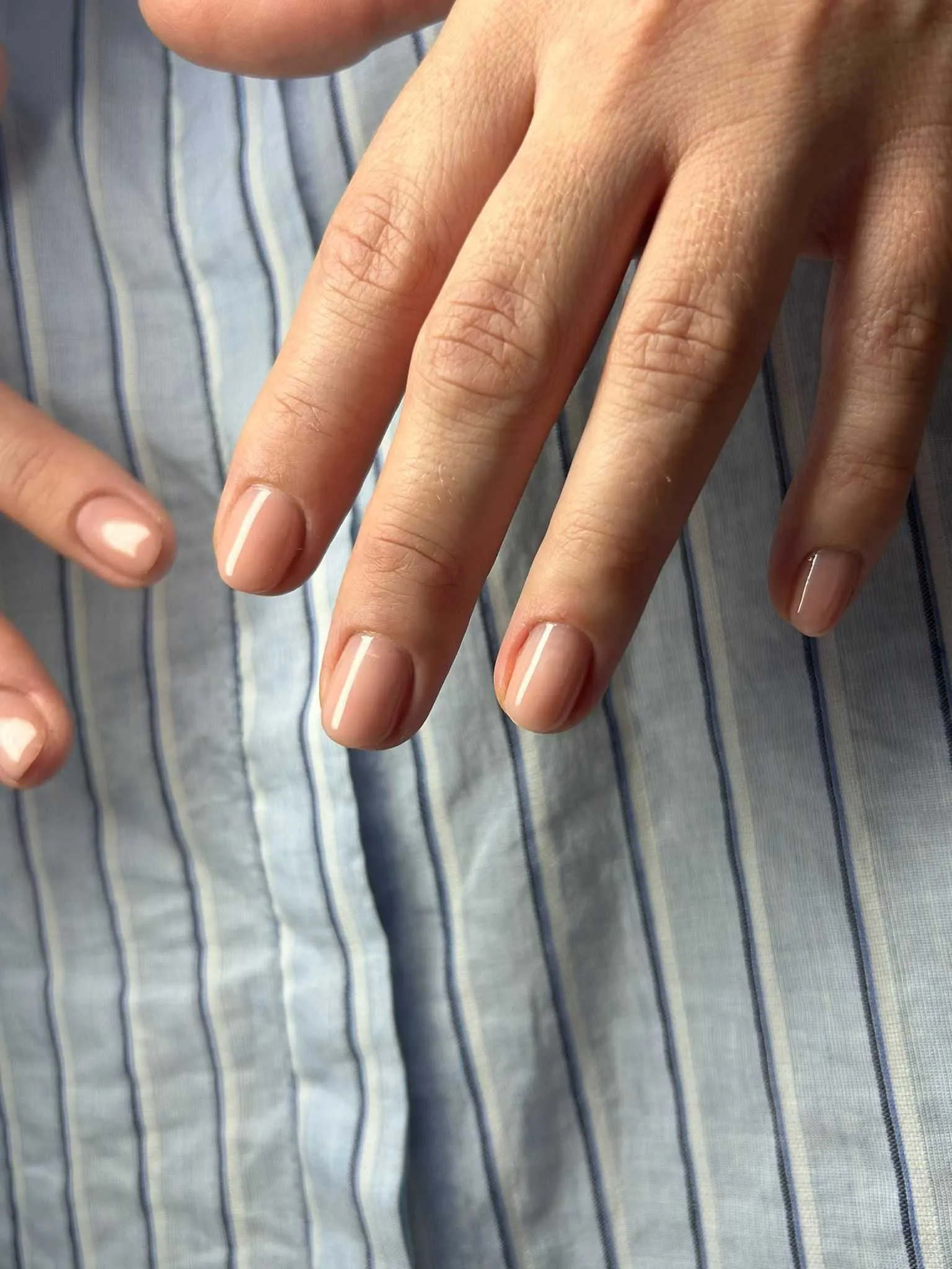 power base gel - silky nude - slika 4