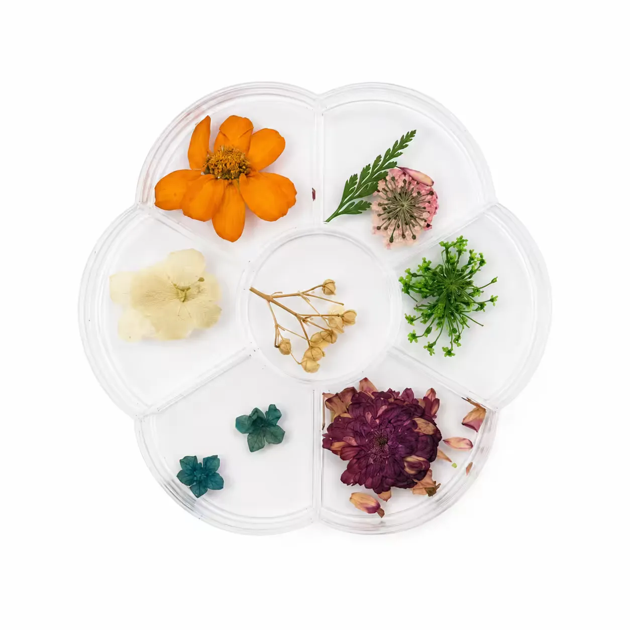 dried flower mix leaves & flowers 1 - slika 1