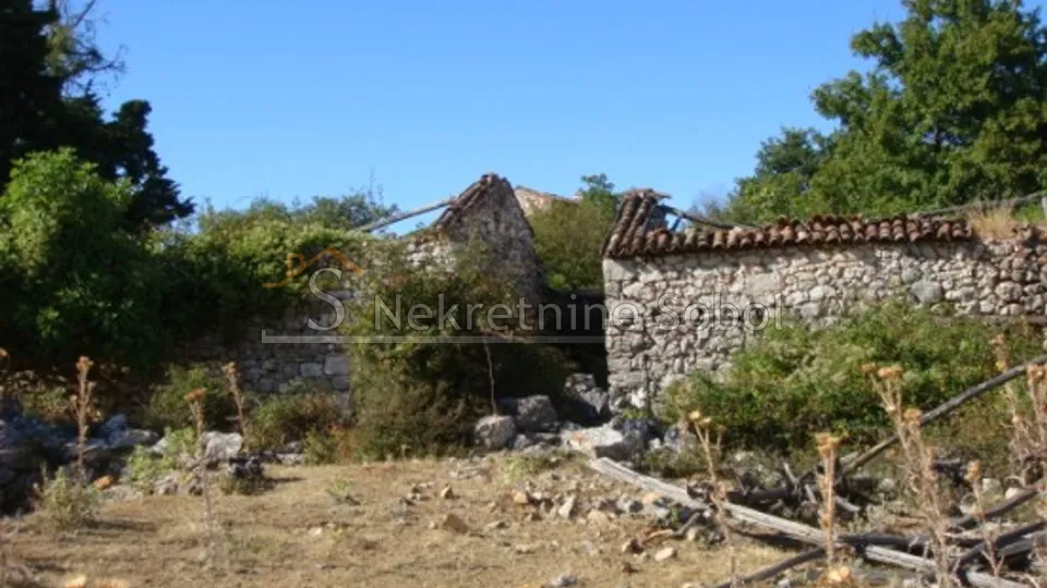 cres, beli - poljoprivredno, 93186 m2 prodaja - slika 5