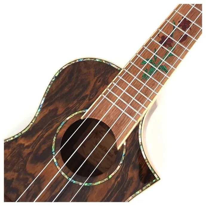 sandona ukc-3b0-g ukulele - slika 5