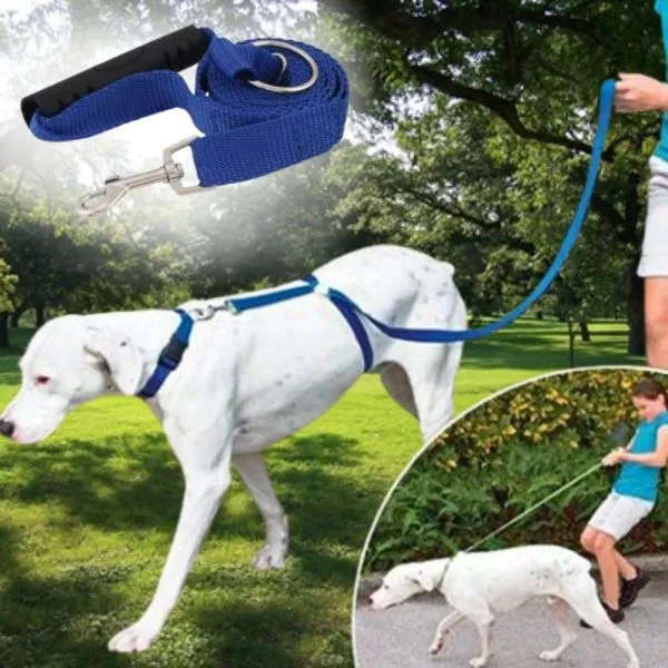 Povodac za trening pasa- Instant Dog povodac - Zagreb