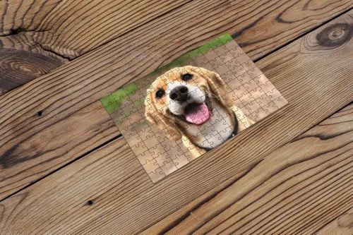 Puzzle s fotografijom kućnog ljubimca - Osijek