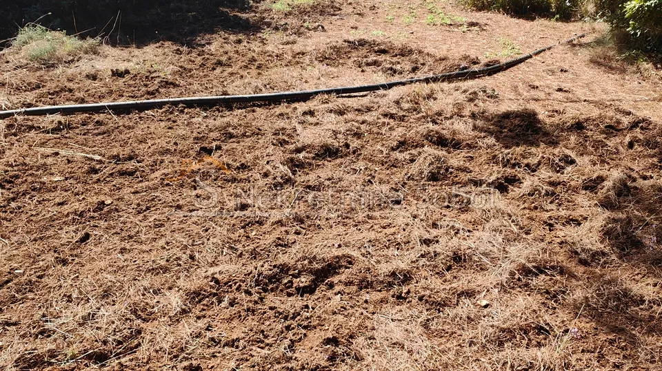 mali lošinj, čikat - građevina, 36 m2 prodaja - slika 9