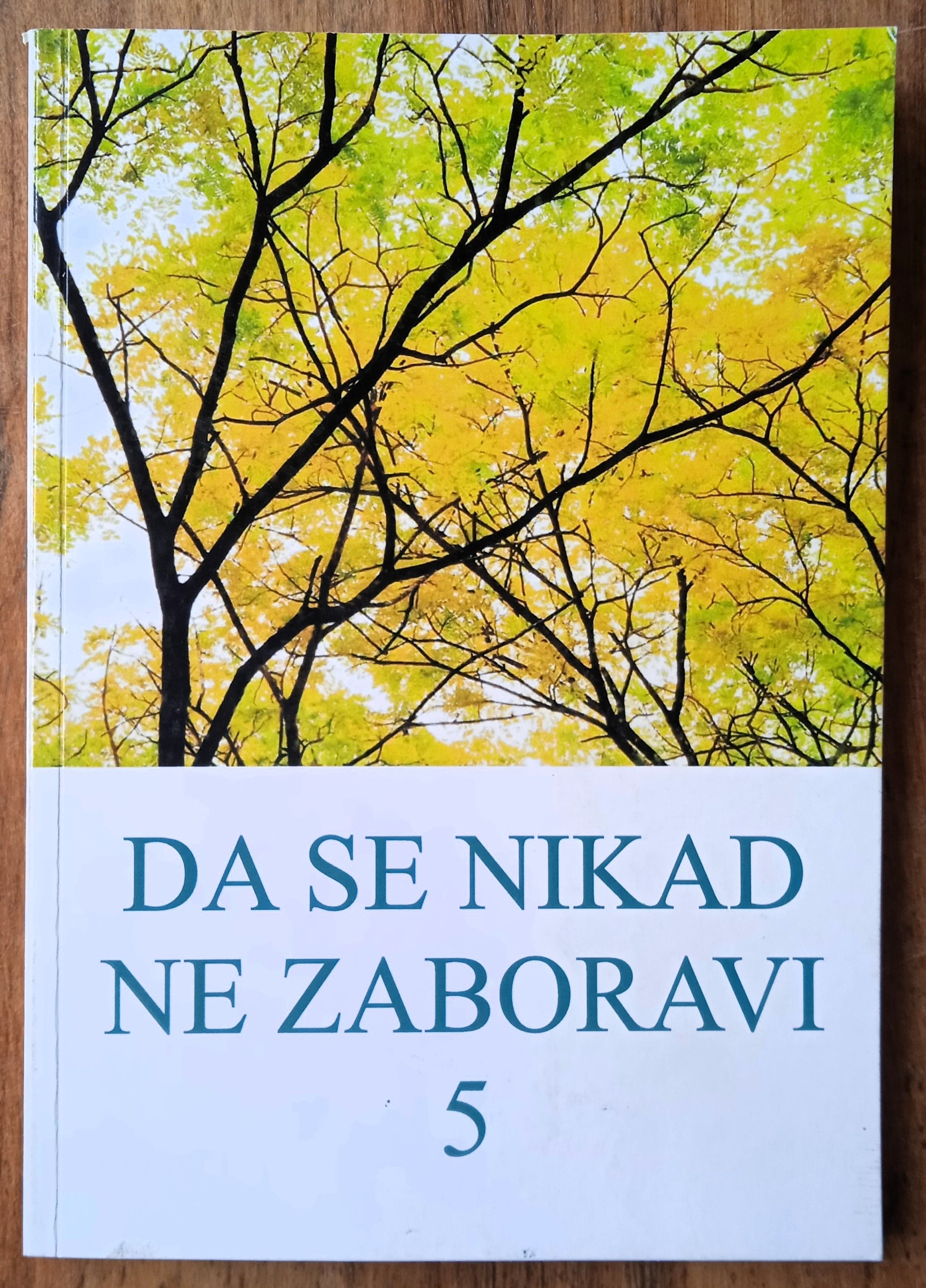 DA SE NIKAD NE ZABORAVI 5 Tanja Pavlić Đurđenovac DOMOVINSKI RAT - Sisak