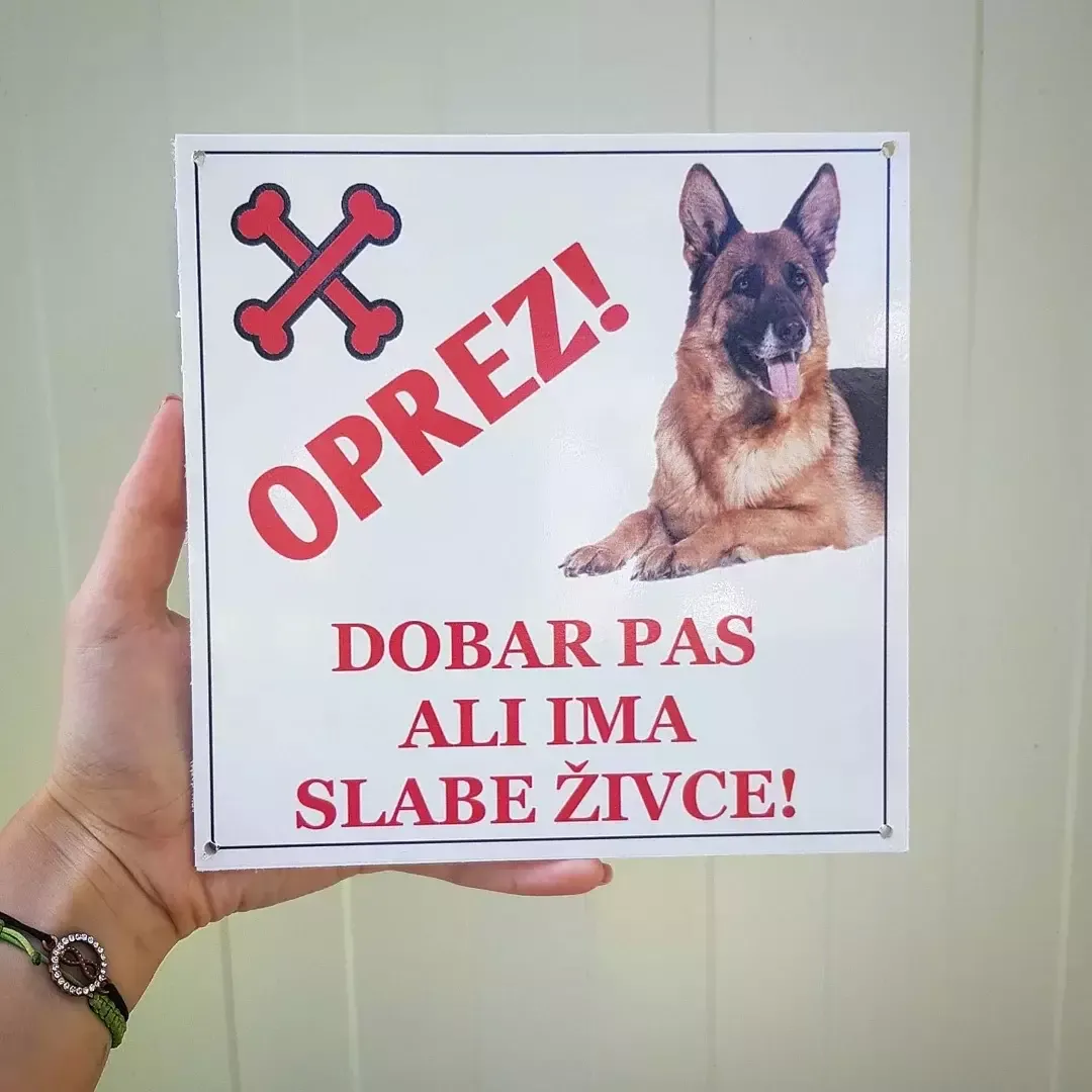 table oštar pas - slika 5