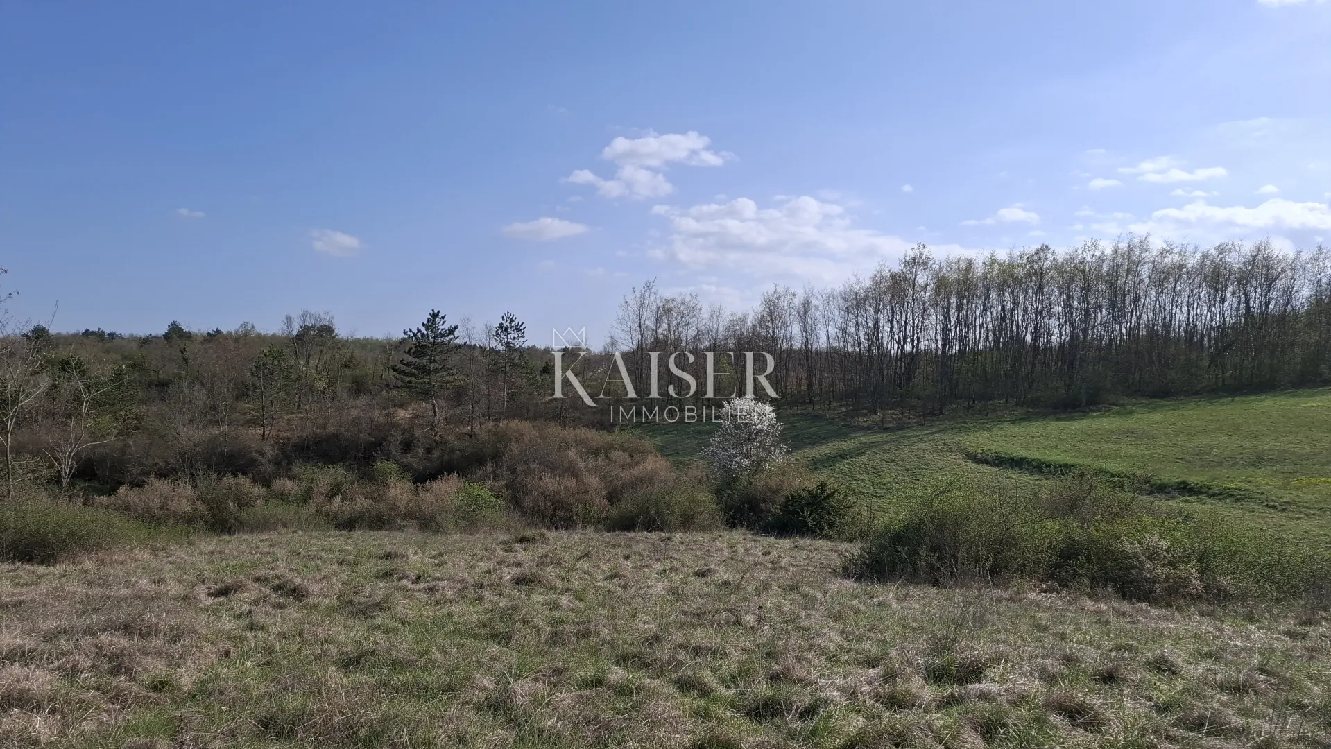 istra, pazin - poljoprivredno zemljište 72.560m2 - slika 6
