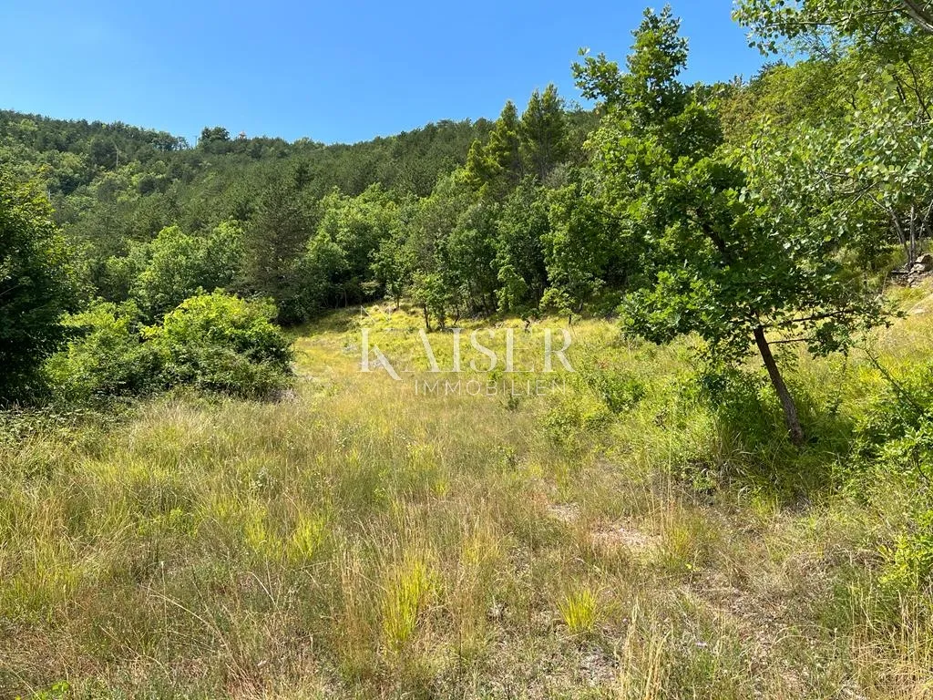 Buzet, Salež – Predivno poljoprivredno zemljište od 33.000 m2 s ostacima velike kuće - Salež, Buzet