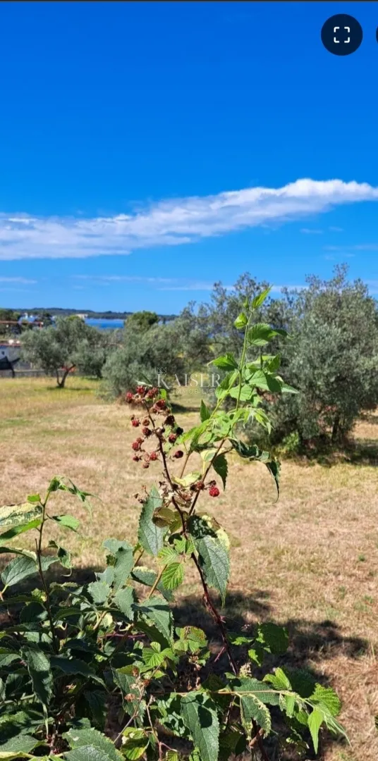 Istra, Fažana - poljoprivredno zemljište sa pogledom na more