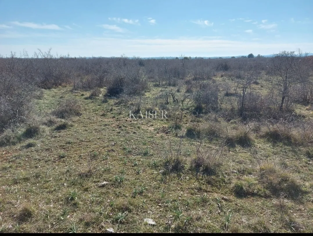 zadar, smoković,-građevinsko zemljište 12000m2 - slika 3
