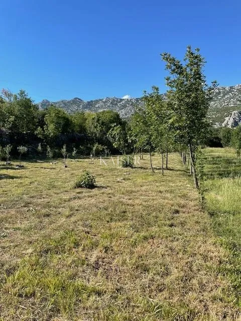 zadar - seline : zemljište 1000 m od mora - slika 2