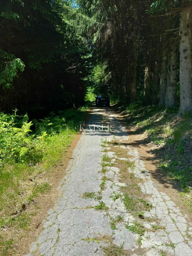 vrbovsko, kamensko, netaknuta priroda, zemljište 7176 m2 - slika 7