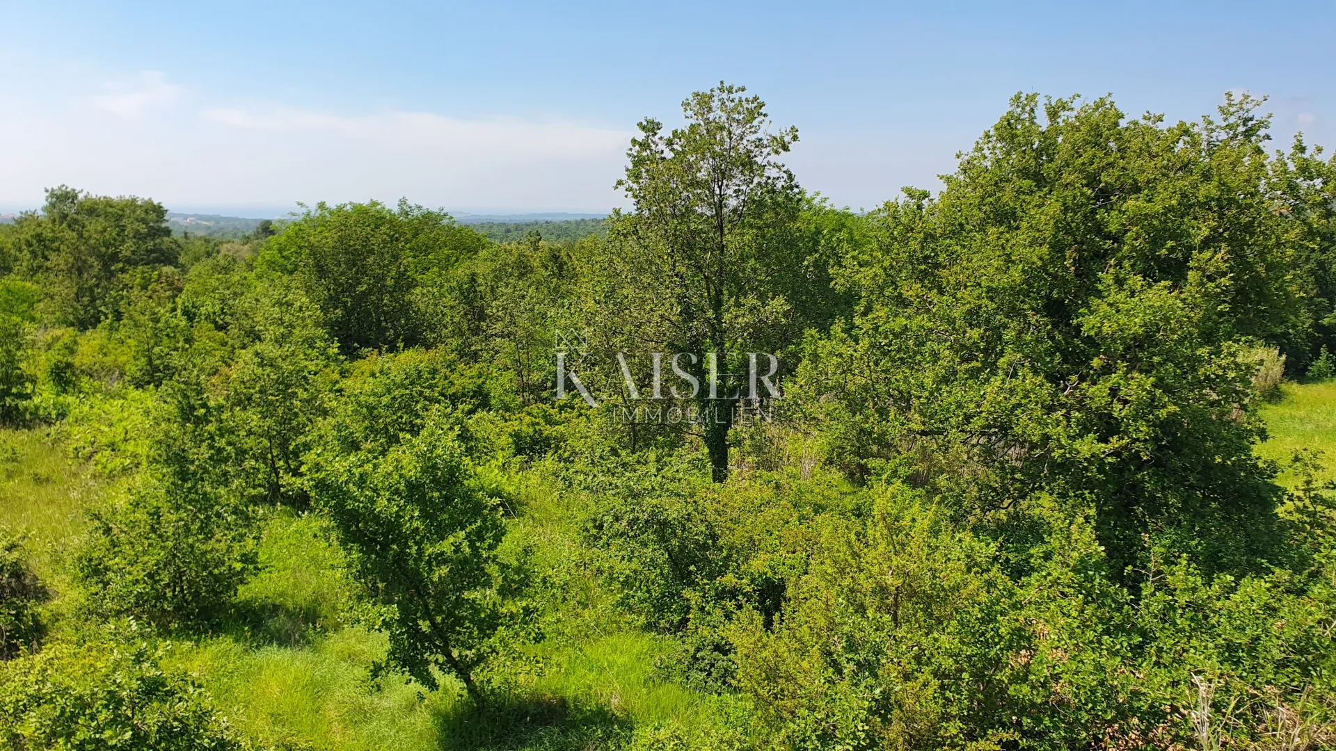 istra - kaštelir, poljoprivredno zemljište, šuma 8740 m2 - slika 3