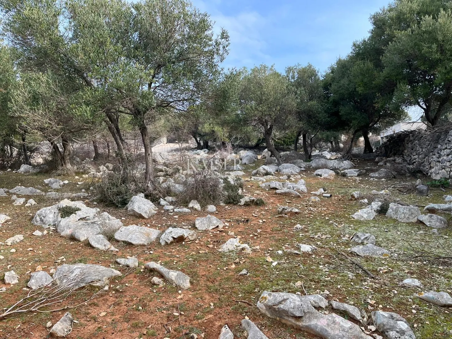 otok pag, lun - jedinstveno građevinsko zemljište 950m2 - slika 3