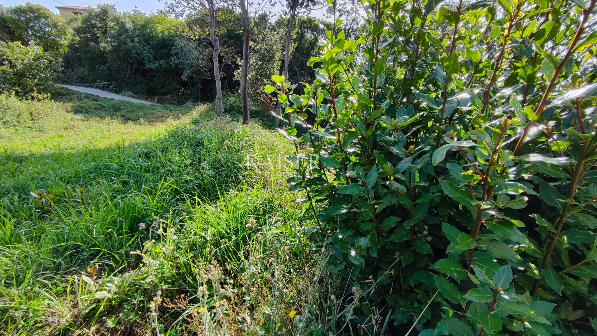 labin - senzacionalan pogled na more, 1800 m2 - slika 6