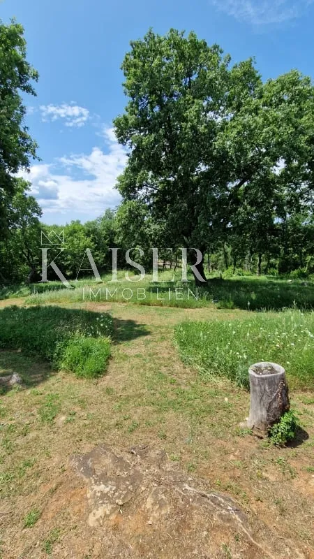 istra - lovreč, prilika kamena istarska kuća sa imanjem 9000m2 - slika 8