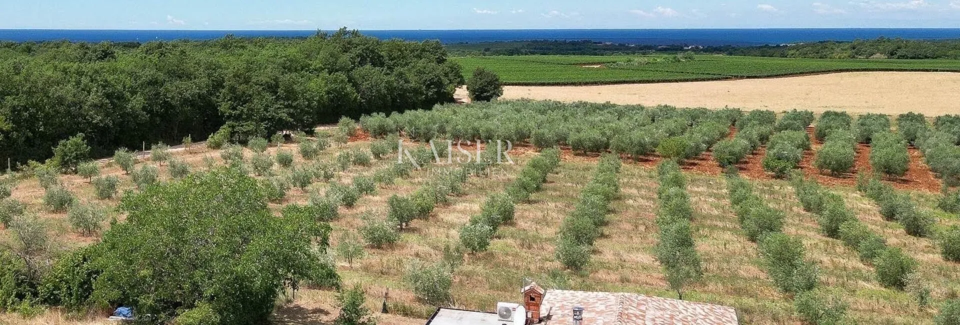 Istra, Novigrad - kuća s prekrasnim pogledom na more i maslinike