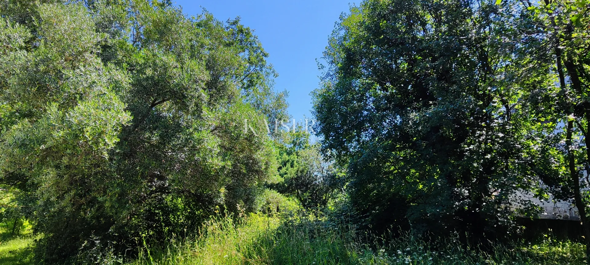 drenje - građevinsko zemljište okruženo zelenilom, 900 m2 - slika 6