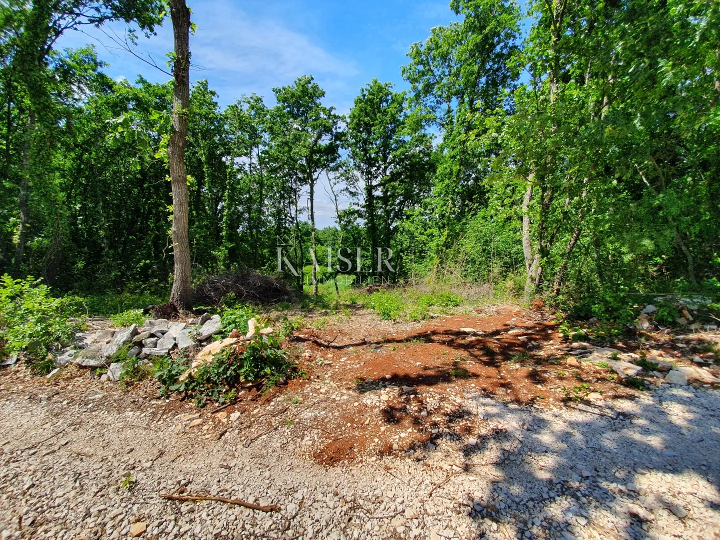 Istra - Lovreč, prekrasno građevinsko zemljište 871m2 - Sveti Lovreč Pazenatički