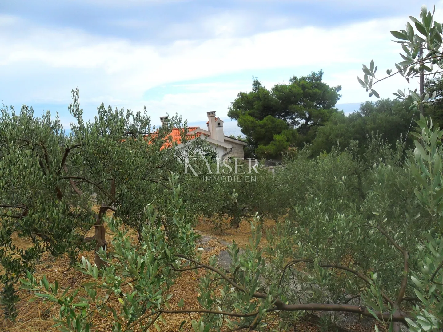 brač - puntinak : luksuzna vila uz more - slika 9