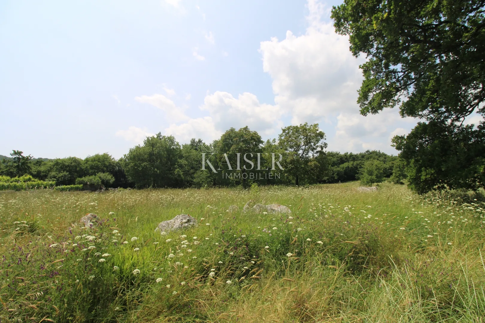 istra, labin- poljoprivreno zemljište 11.200m2 pored građevinske zone - slika 6