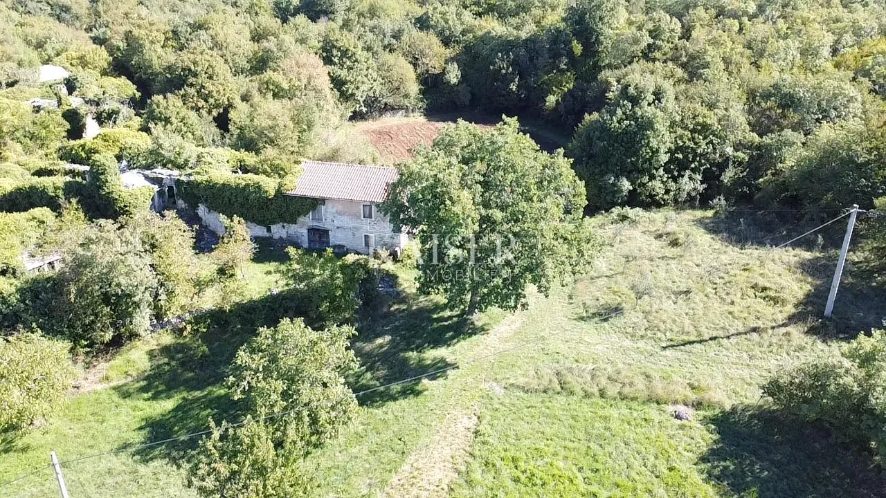 istra, oprtalj - građevinsko zemljište 4500 m2 s dvije kamene kuće - slika 13
