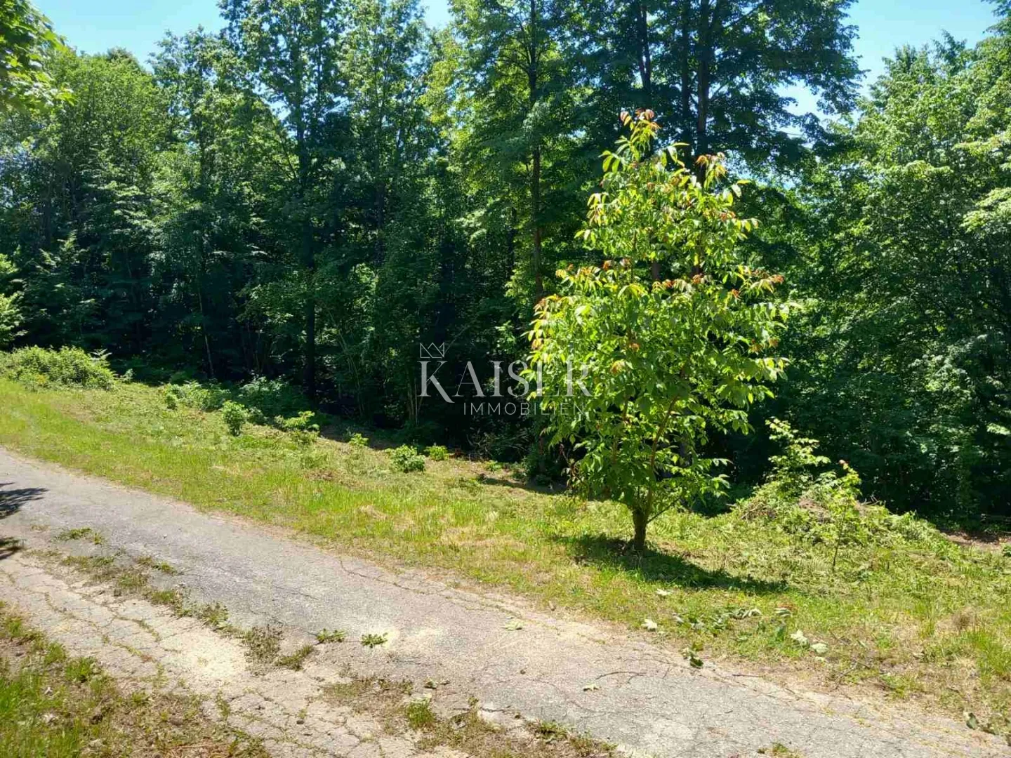 vrbovsko, kamensko-građevinsko zemljište s dvije ruševine, 776 m2 - slika 4
