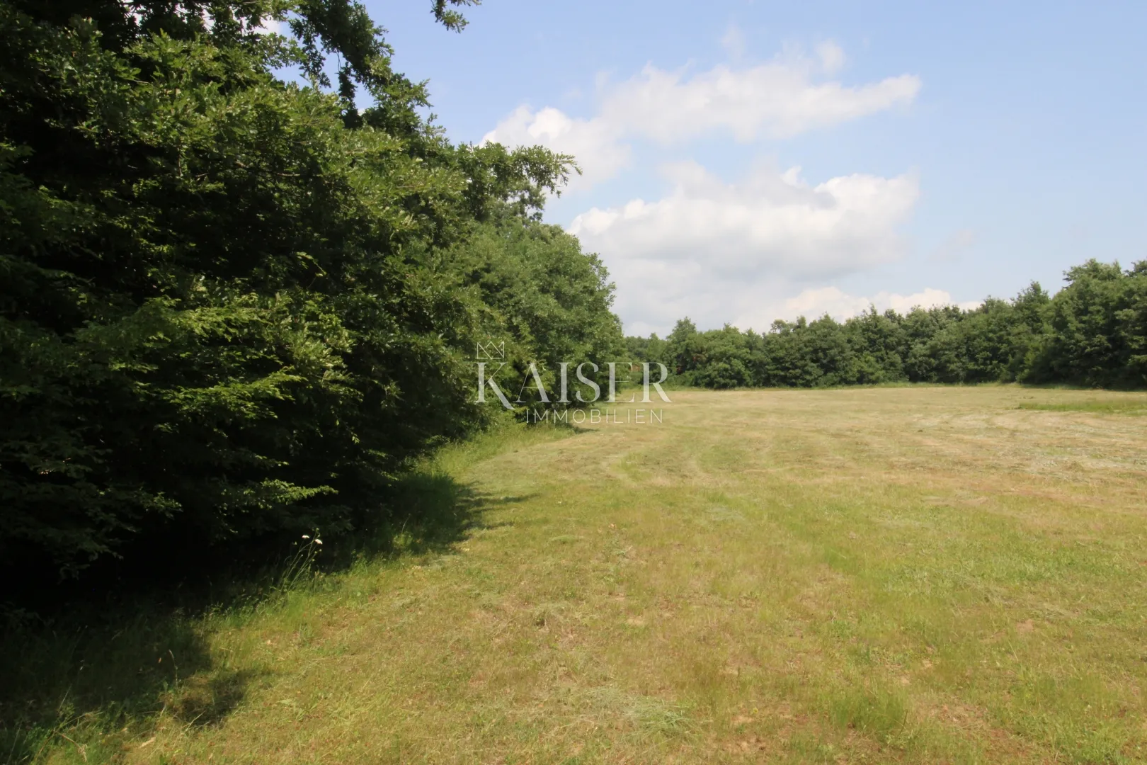istra, labin- poljoprivredno zemljište 13.700m2 s šumom - slika 5