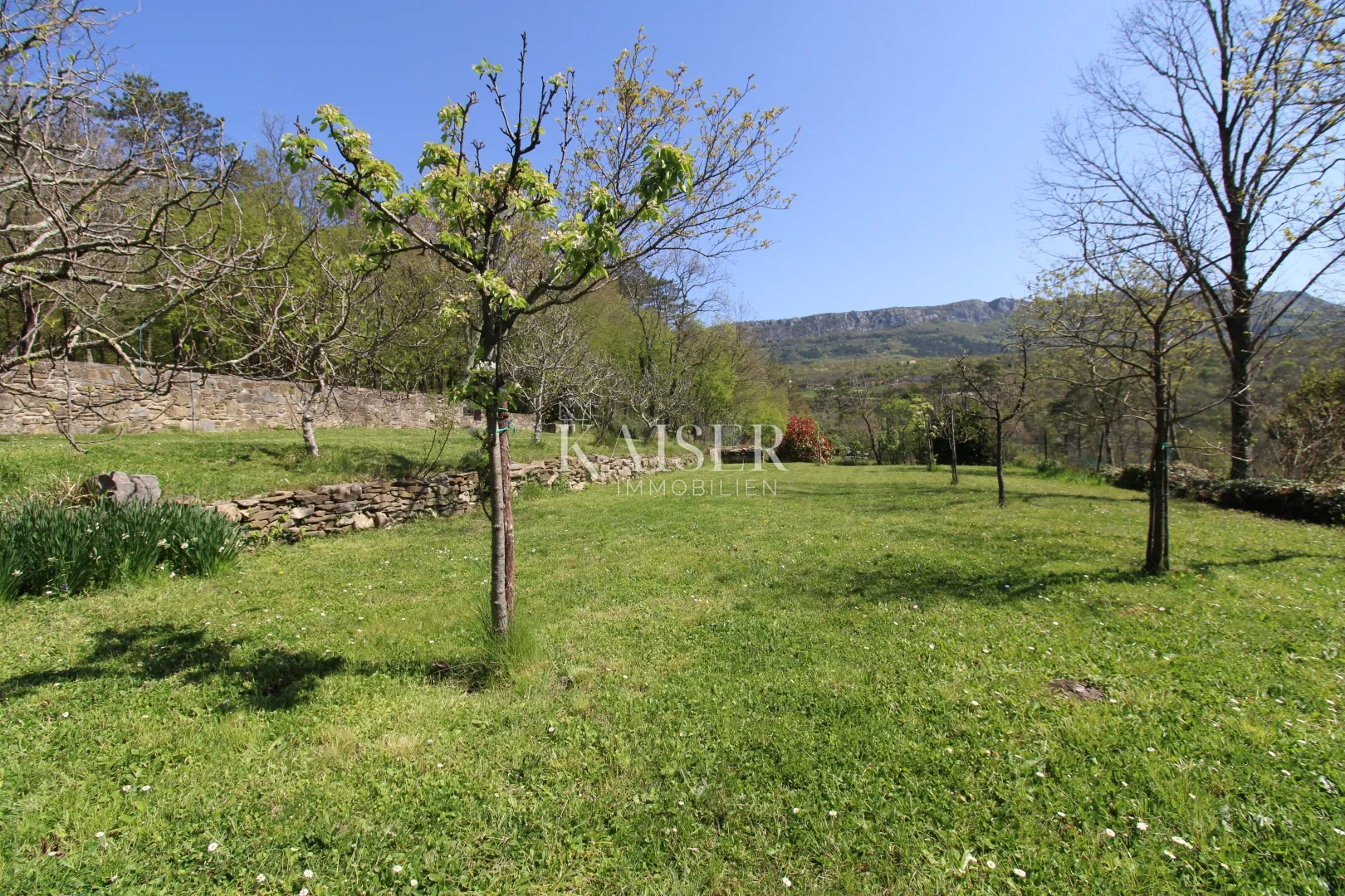 istra - buzet, kuća sa imanjem na 20000 m2 - slika 20