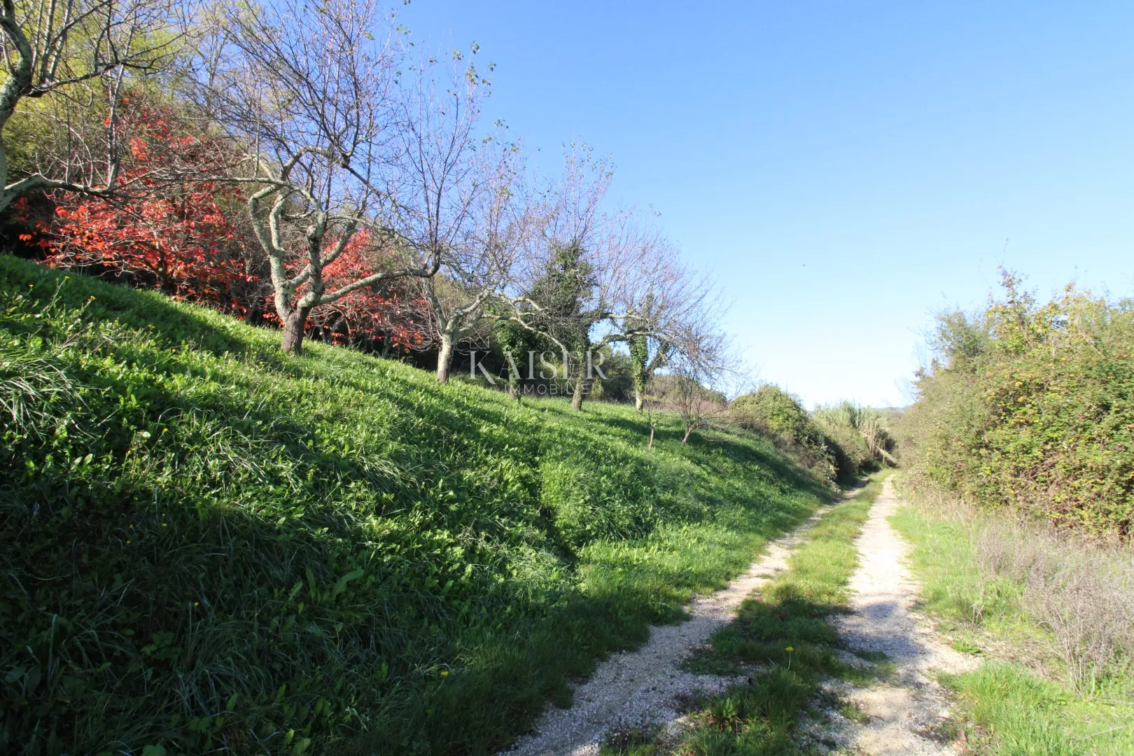 istra - motovun, građevinsko zemljište pogled motovun - slika 9