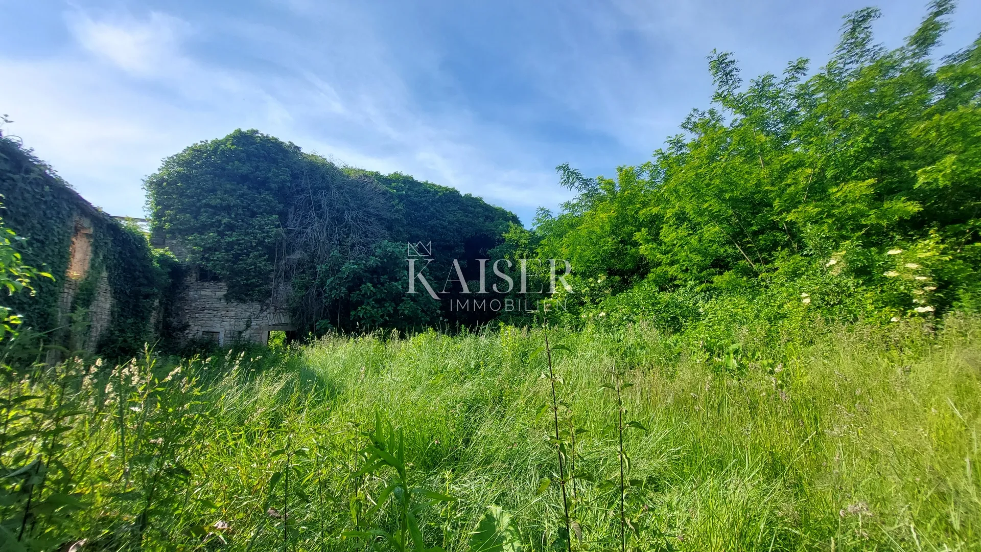 istra, grožnjan, okolica - građevinsko zemljište 1.000m2, sa ruševnim starinama - slika 7