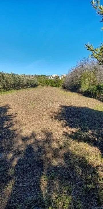 Istra, Premantura - građevinsko zemljište na izvrsnoj lokaciji - Premantura, Medulin