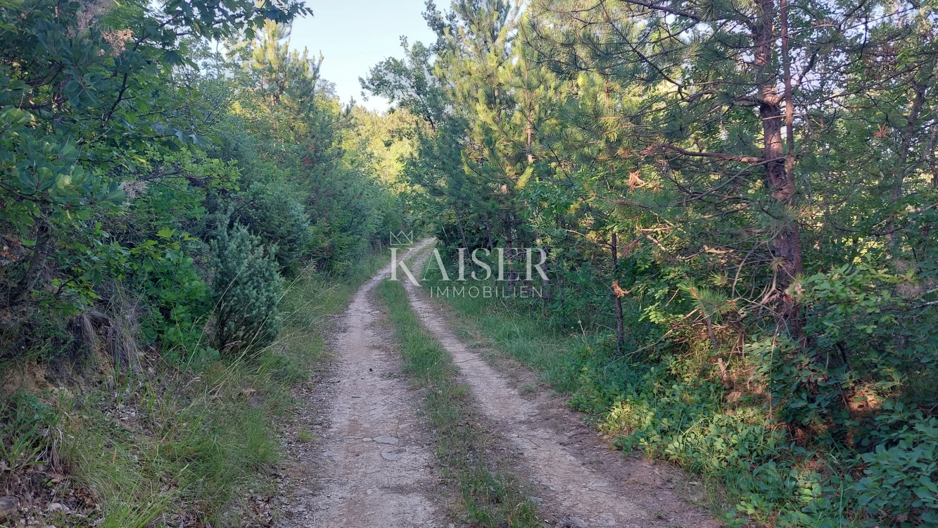 istra, okolica buzeta - poljoprivredno zemljište 2,5ha; mogućnost gradnje - slika 7