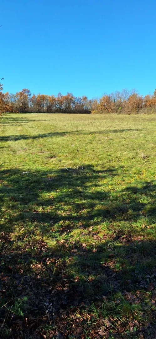 istra- višnjan, poljoprivredno zemljište 4 hektara - slika 5