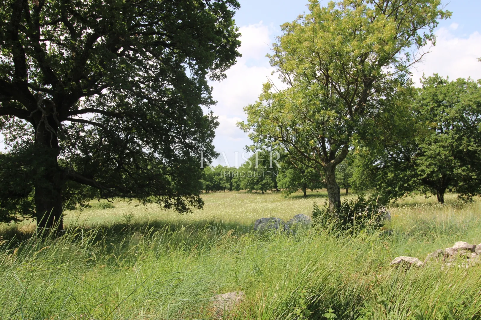 istra, labin- poljoprivreno zemljište 11.200m2 pored građevinske zone - slika 9