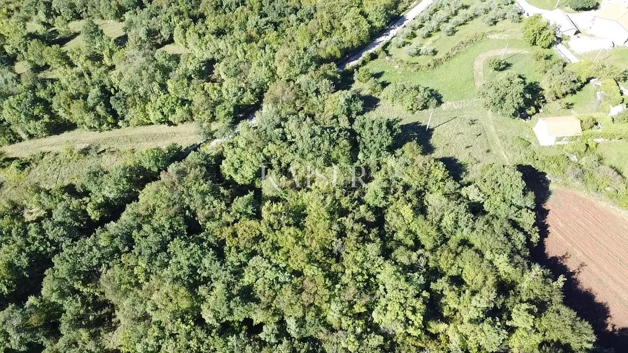 istra, oprtalj - građevinsko zemljište 4500 m2 s dvije kamene kuće - slika 11
