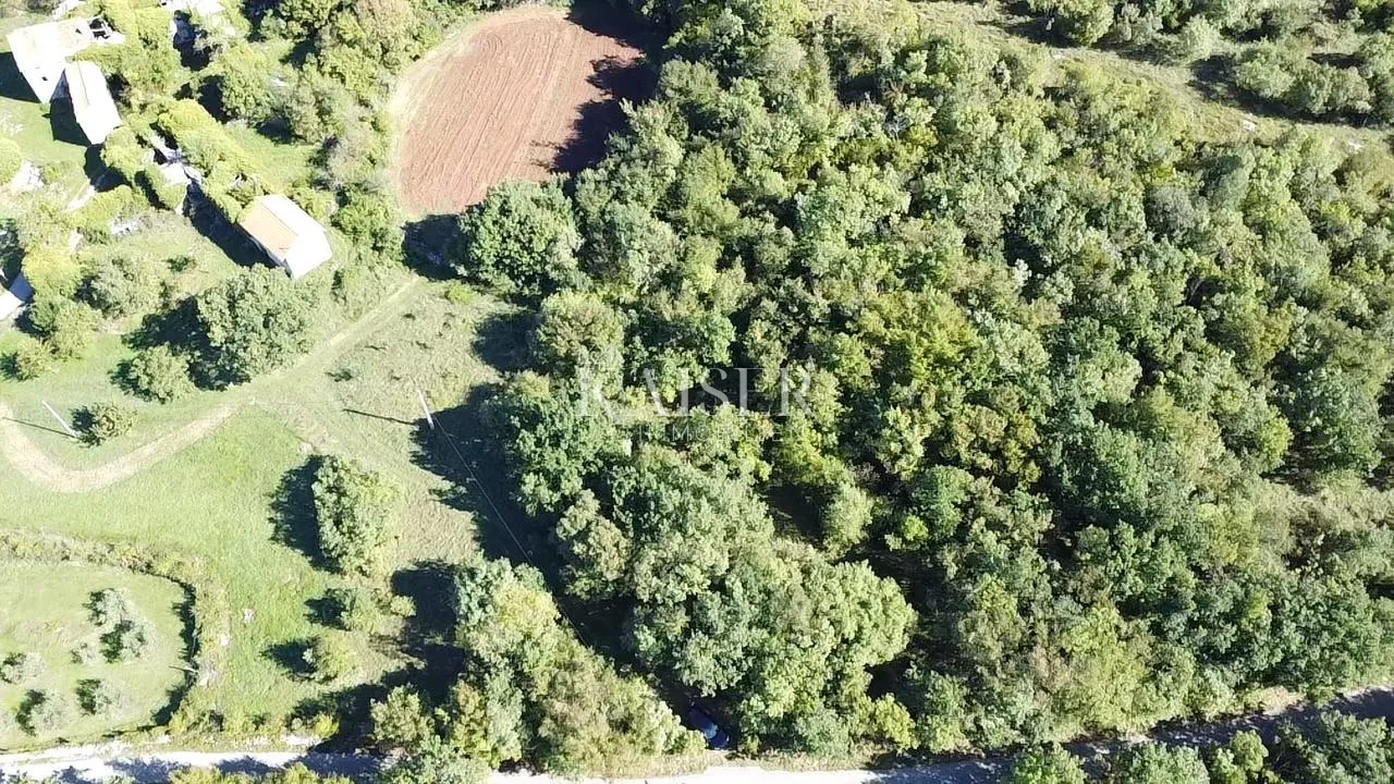 istra, oprtalj - građevinsko zemljište 4500 m2 s dvije kamene kuće - slika 8