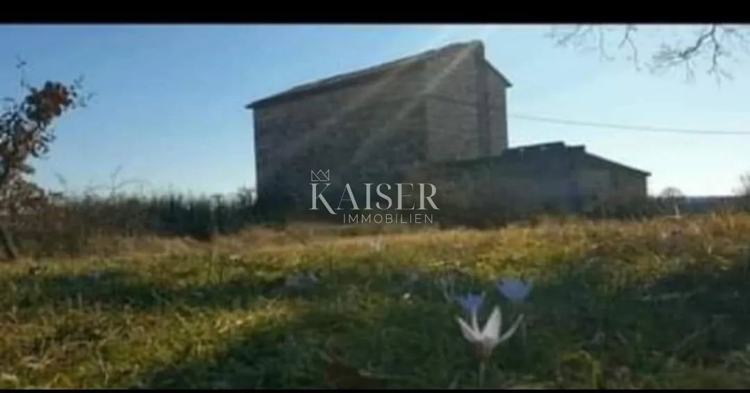 istra, krnica - autentična istarska stancija 7000m2 - slika 6