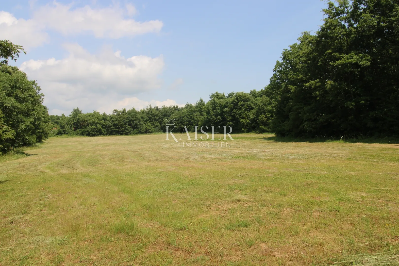 istra, labin- poljoprivredno zemljište 13.700m2 s šumom - slika 2