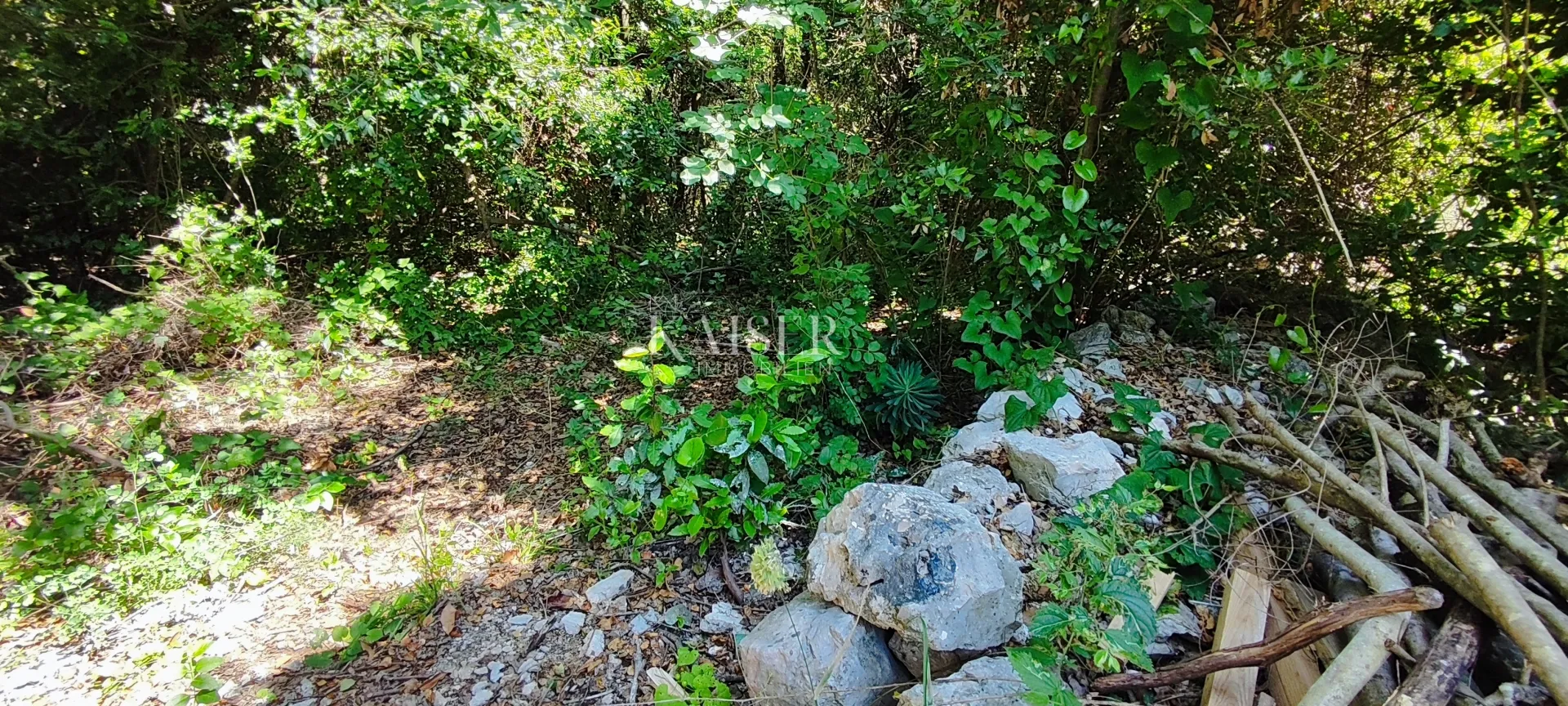 drenje - građevinsko zemljište okruženo zelenilom, 900 m2 - slika 2