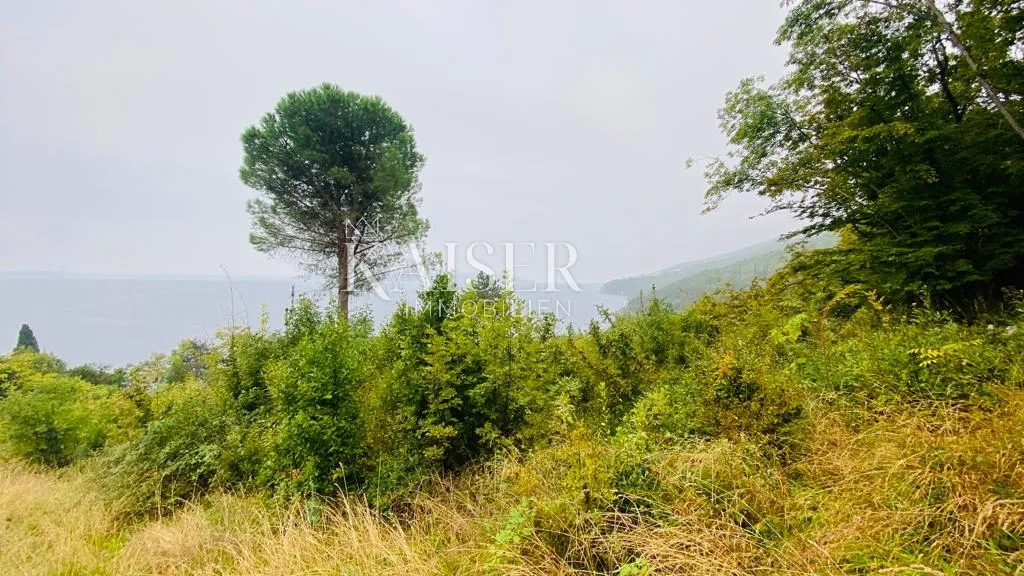 medveja - građevinsko zemljište 2.red do mora 6000 m2 - slika 10