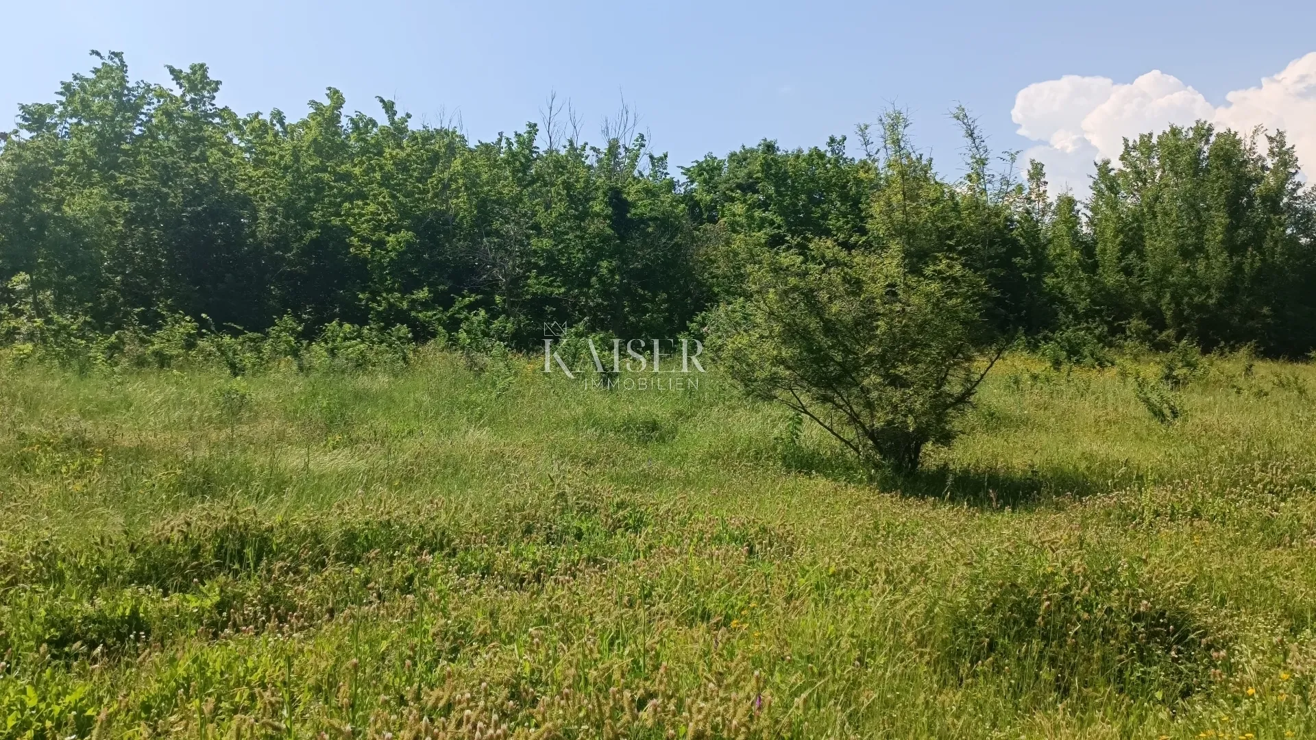 istra - barban - građevinsko zemljište s dozvolom, 1040 m2 - slika 5