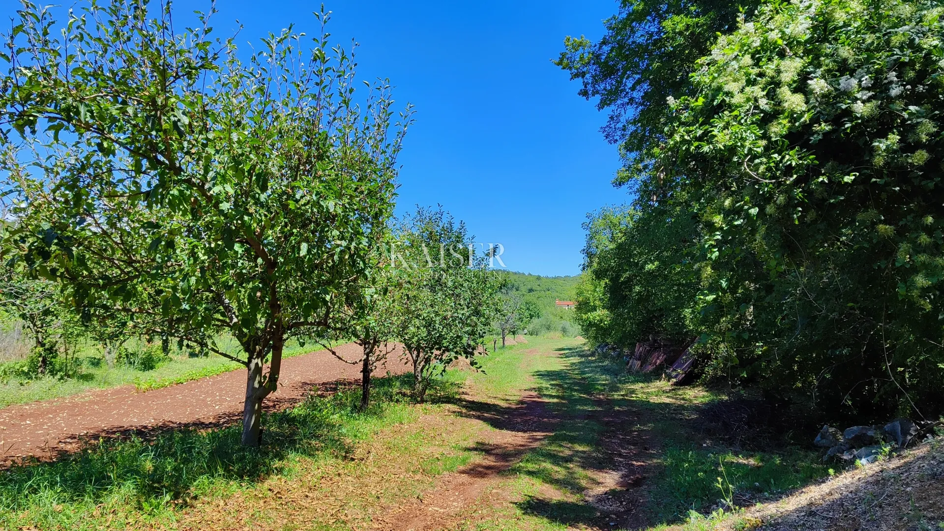 labin - imanje s kućom, 28.000m2 - slika 6