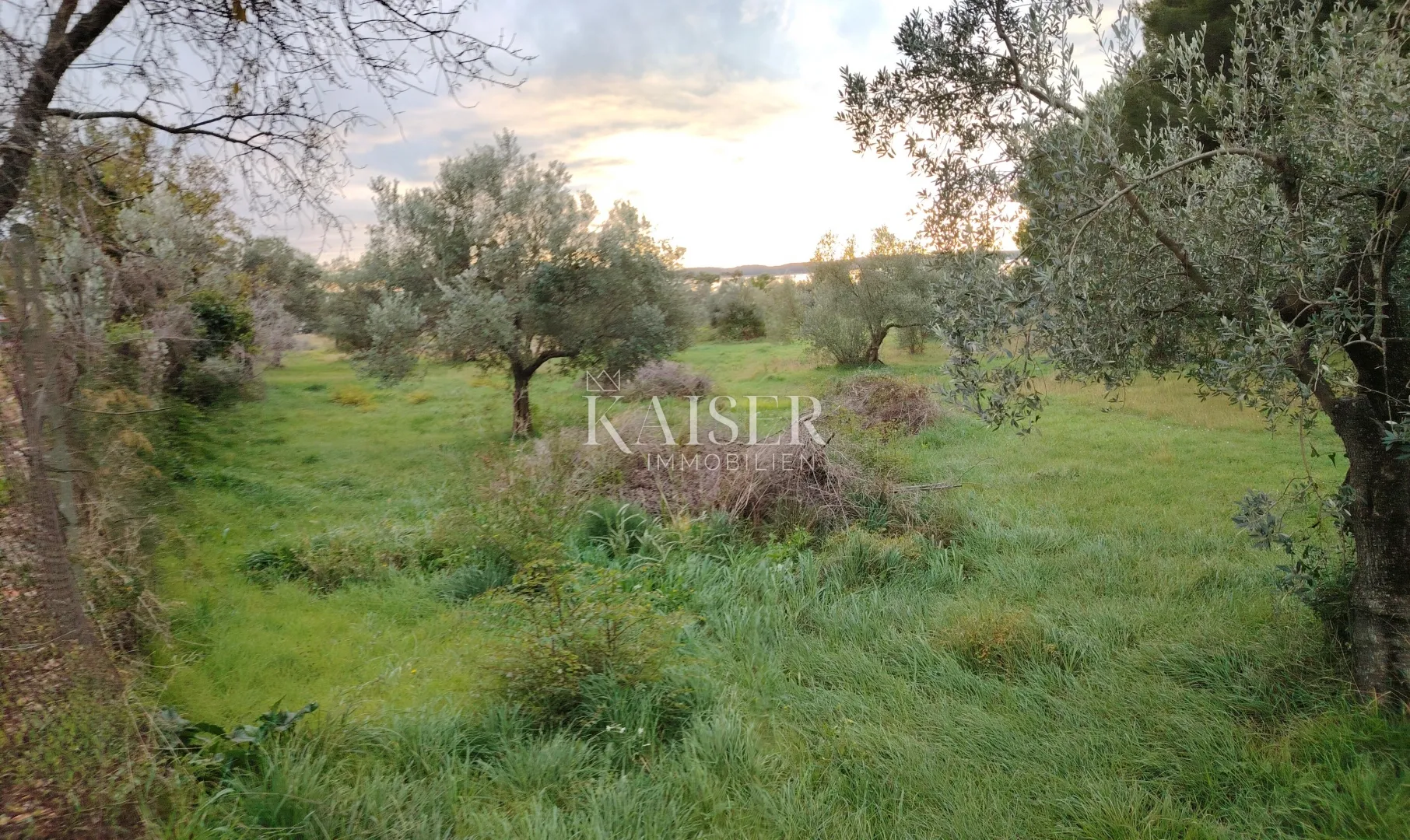 istra, fažana - poljoprivredno zemljište sa pogledom na more - slika 3