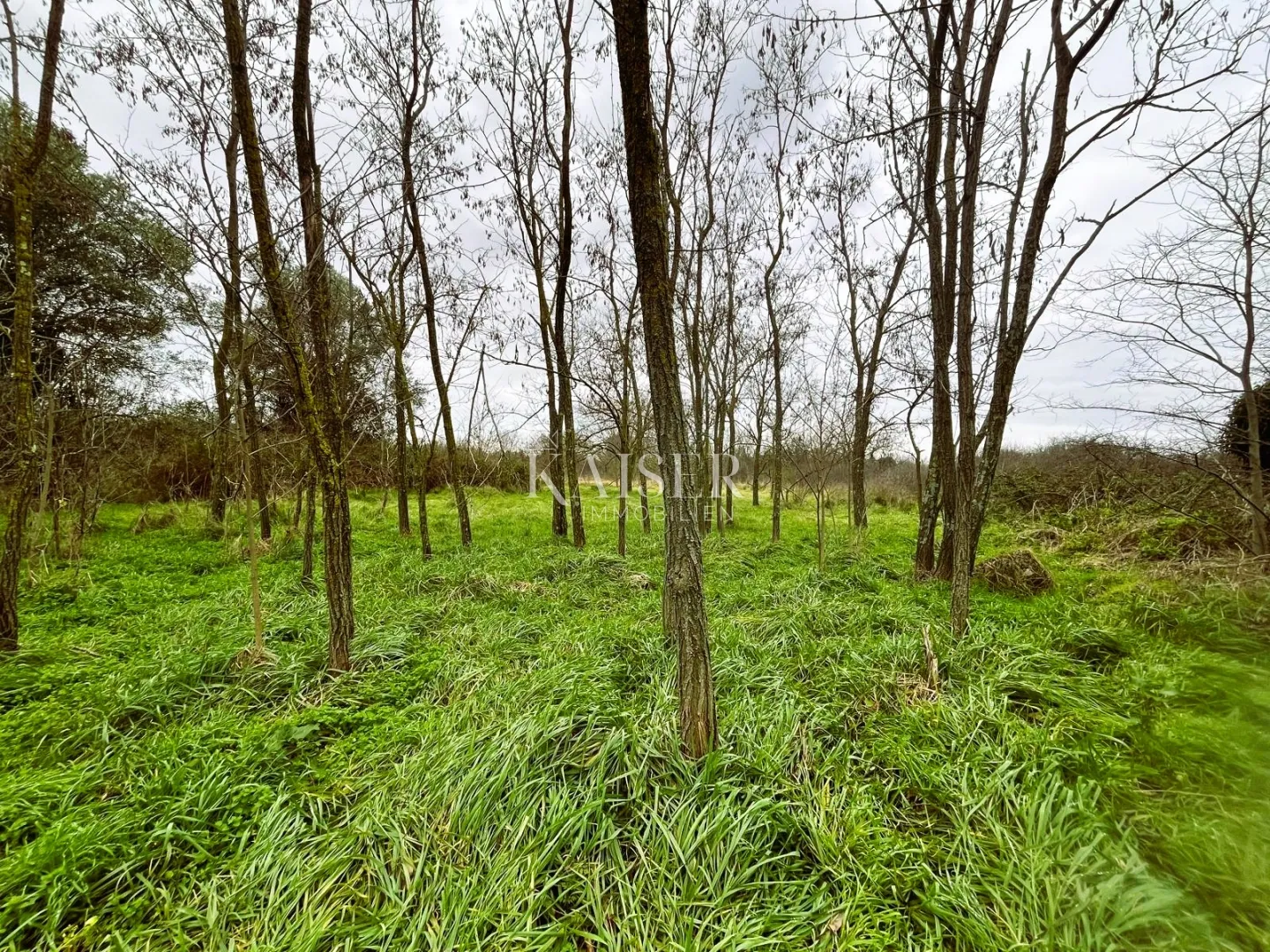 istra, bale građevinsko zemljište 7801 m2 - investicija za izgradnju luksuznih vila - slika 5