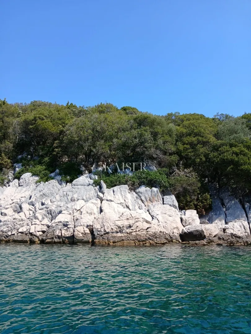 otok cres, poljoprivredno zemljište 20.000 m2 uz more - slika 2