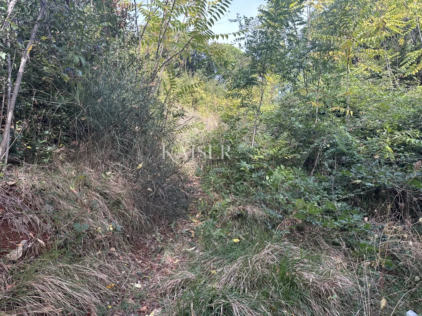 medveja - građevinsko zemljište 2.red do mora 6000 m2 - slika 16