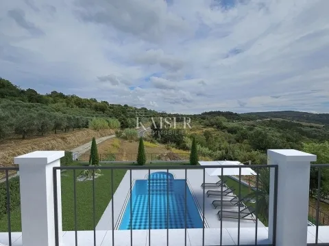istra - buje, vila sa casinom, kinom i vinskim podrumom - slika 10