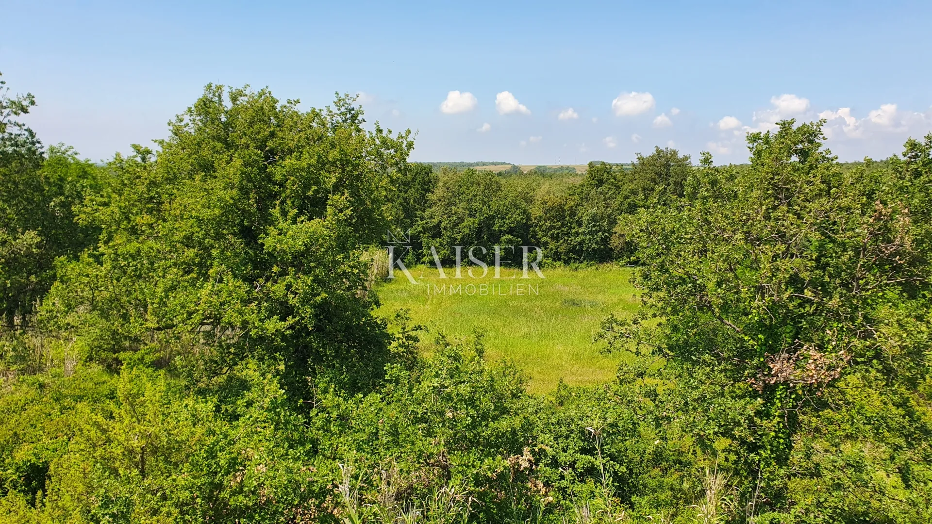 istra - kaštelir, poljoprivredno zemljište, šuma 8740 m2 - slika 2